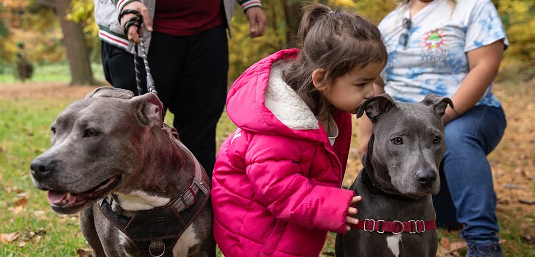 Loading ramp and trailer